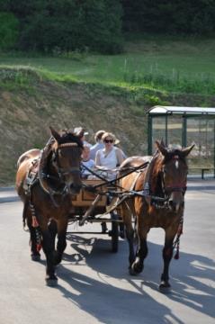 KNOBLEHARJEVO 2012 - Otvoritev ceste in pločnika do osnovne šole Frana Metelka 45